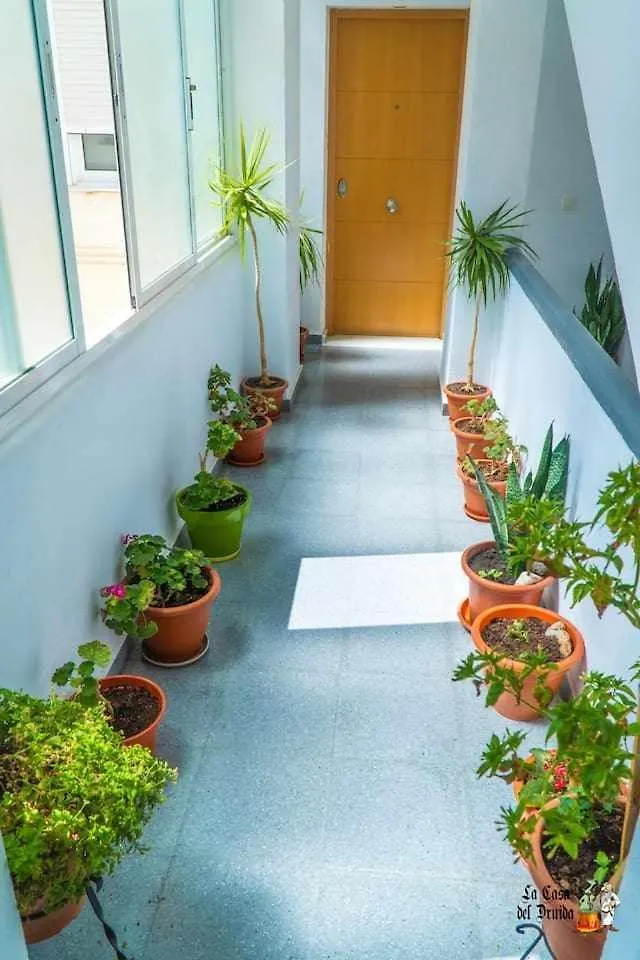 La Casa Del Druida Apartment Malaga Spain